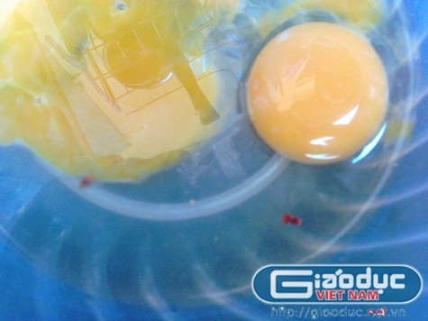 Khoảng 7h30’ ngày 9-10, em Trần Lai Thành, sinh viên lớp Điều khiển tự động K9A, Trường Công nghệ thông tin và Truyền thông Thái Nguyên vô cùng hoảng hốt khi phát hiện có “sinh vật lạ” nghi là đỉa trong quả trứng vừa mua từ chợ về.
